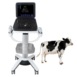 Black And White Veterinary Laptop Ultrasound Diagnostic System yk-v15