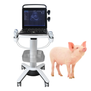 Veterinary Ultrasound Portable Color Doppler Ultrasound Machine YK-VP8