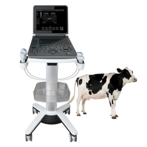 YK-V12 Black And White Veterinary Laptop Ultrasound